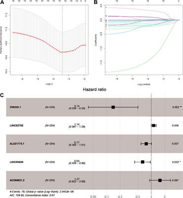 Development and Validation of Ferroptosis-Related LncRNA Biomarker in Bladder Carcinoma